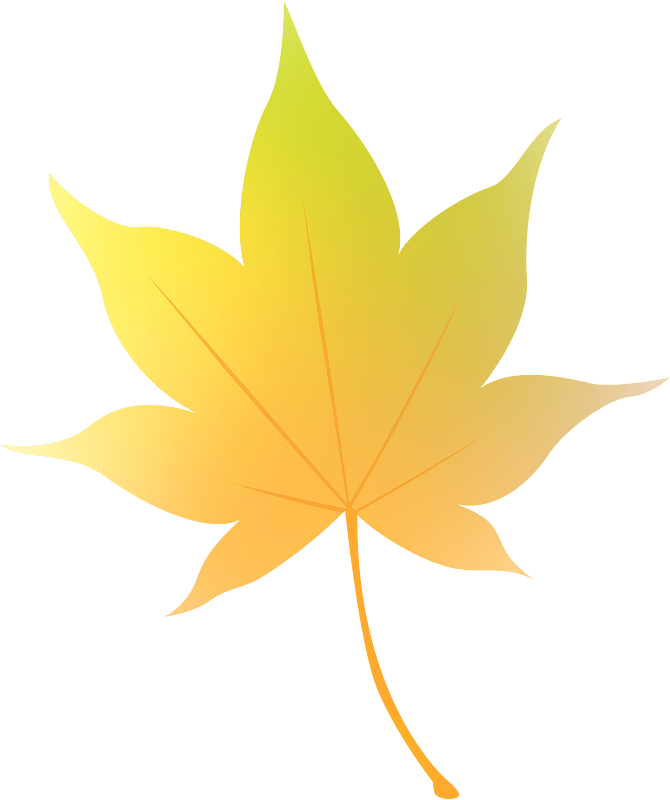 Maple leaf