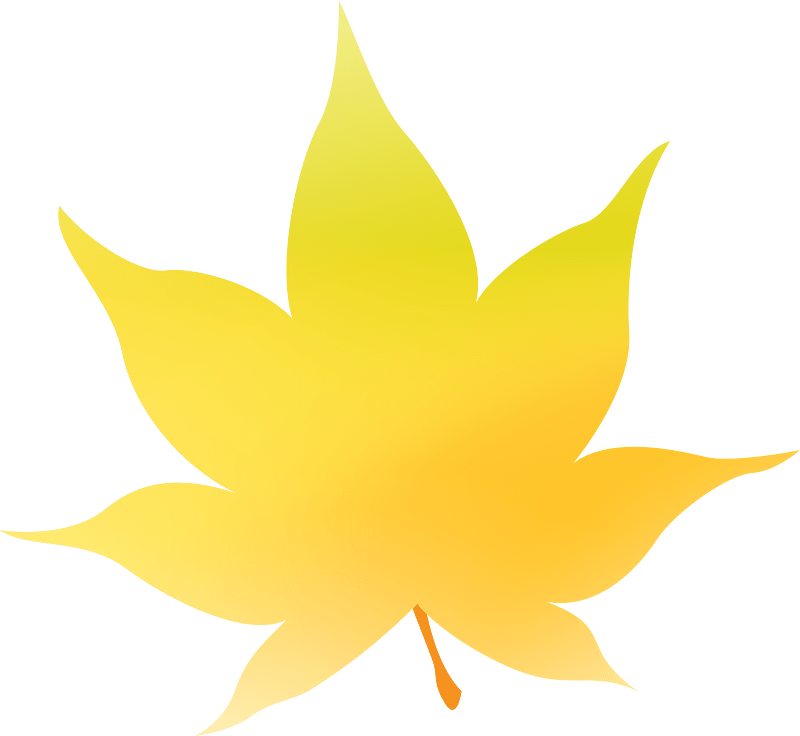 Maple leaf
