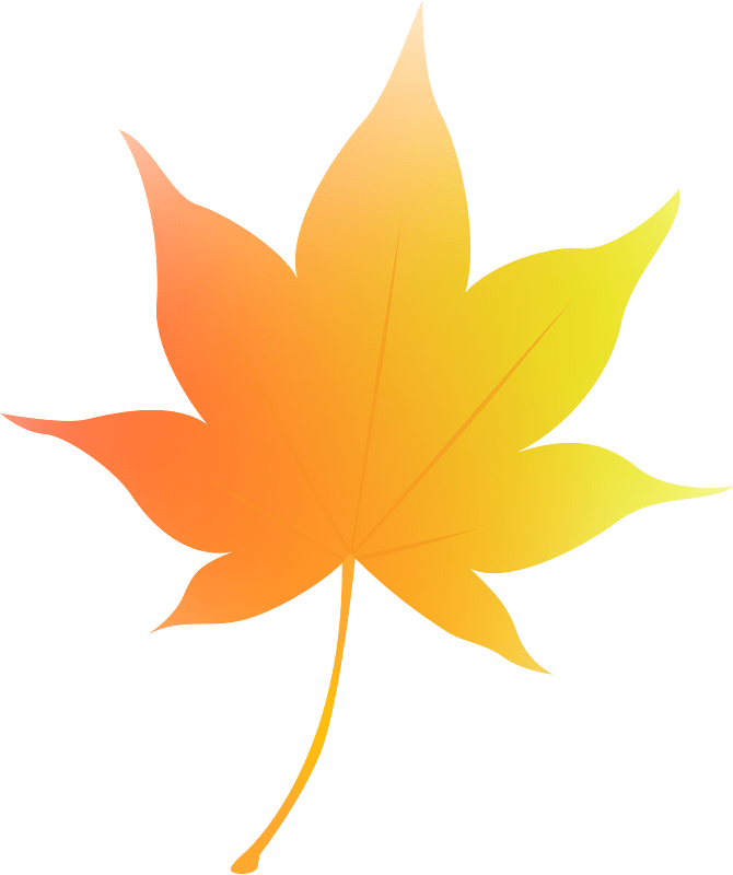 Maple leaf