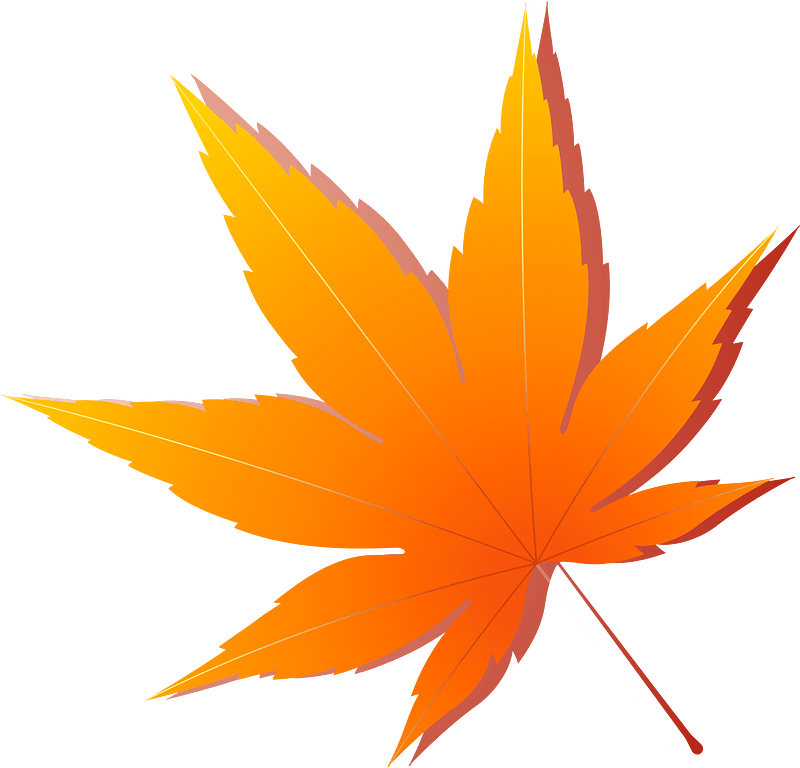 Maple leaf