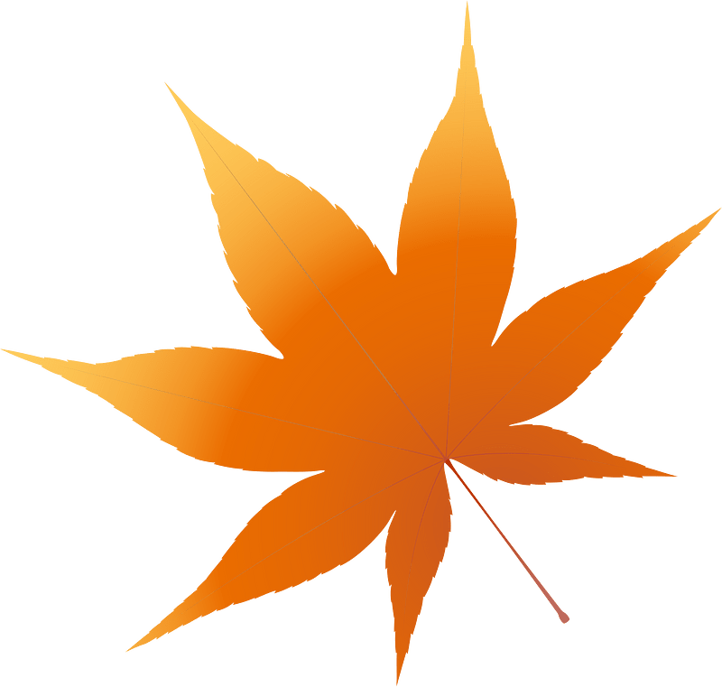 枫叶