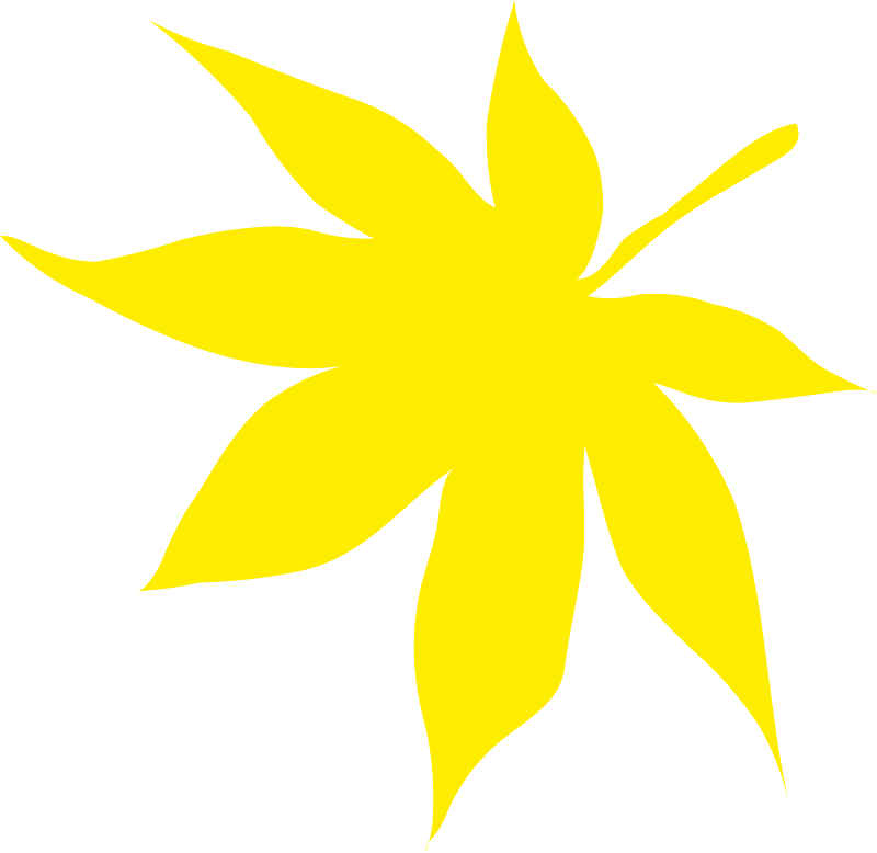 かえで