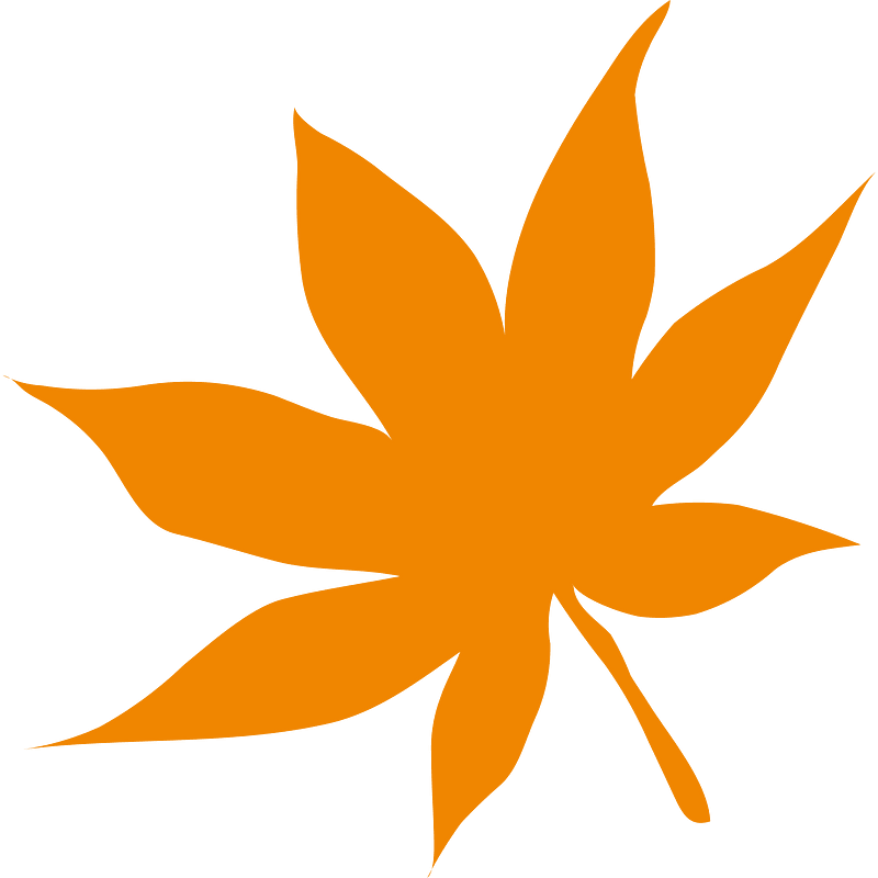 Maple leaf