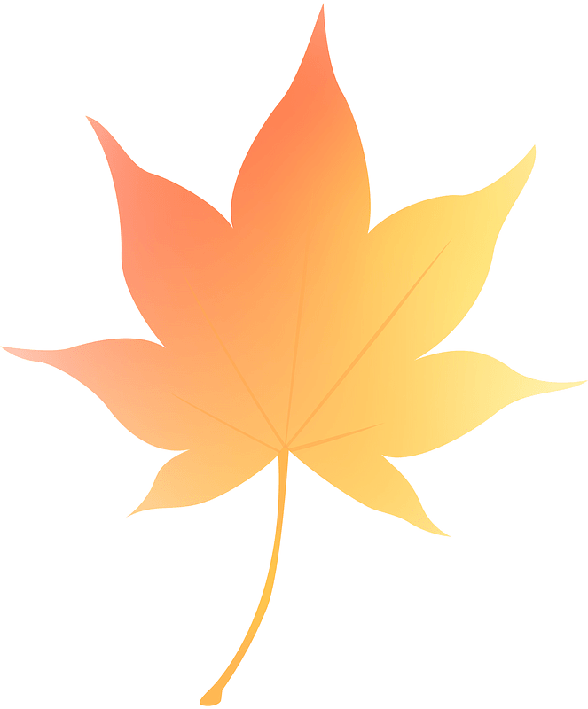 Maple leave