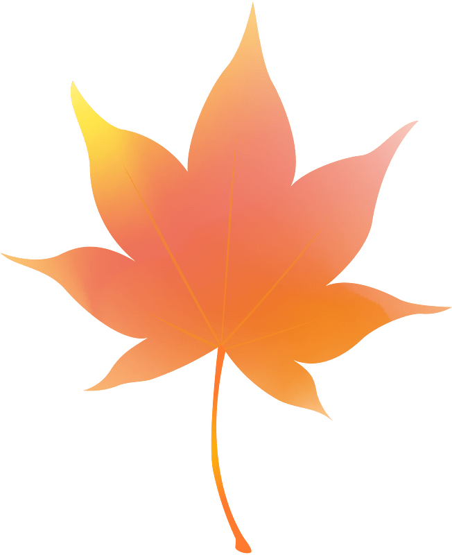 Maple leave