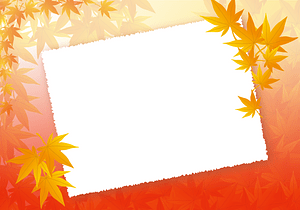 Maple message card