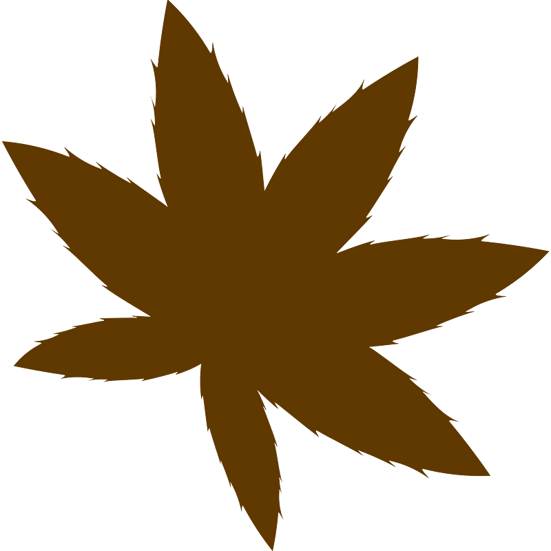 Maple