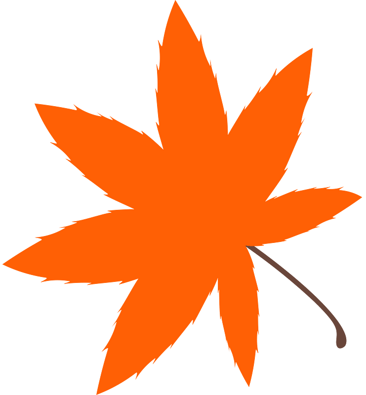 Maple