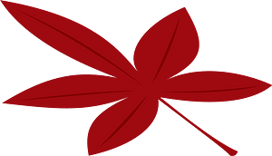 Maple