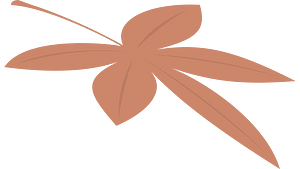 Клен