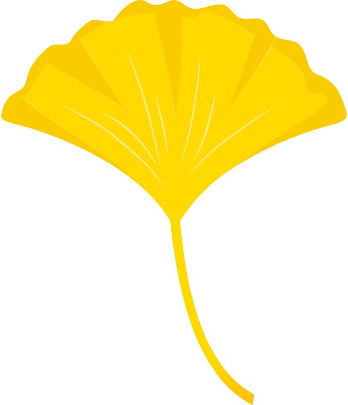Клен