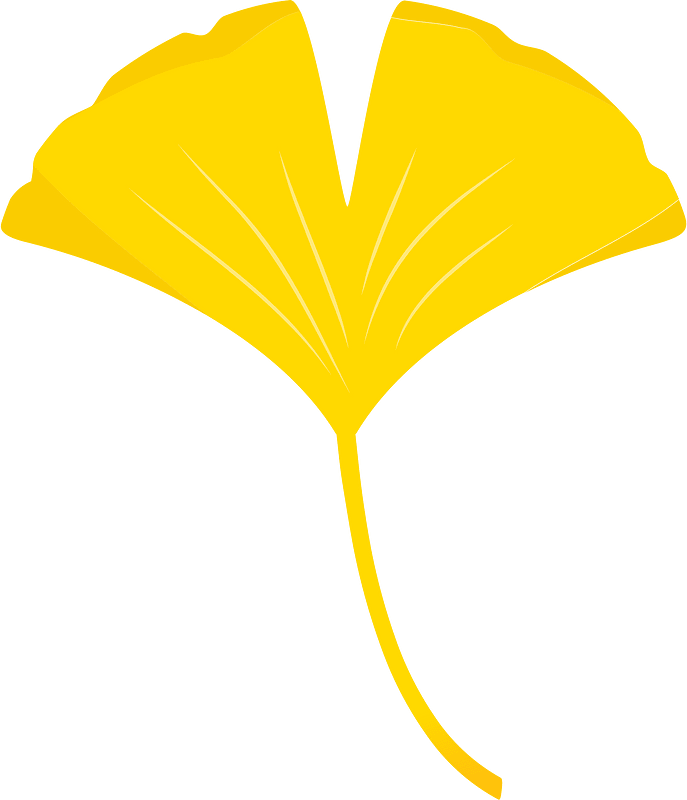 Maple