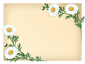 Marguerite frame