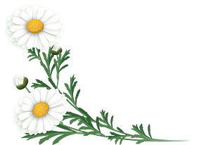 Marguerite frame