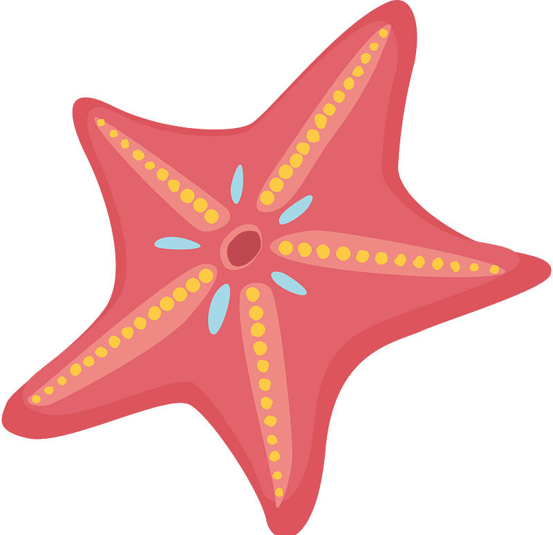 Marine starfish