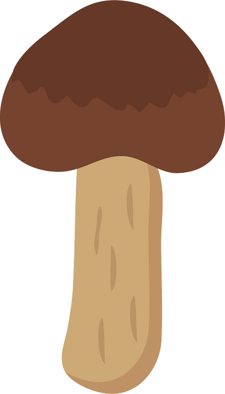Matsutake mushroom
