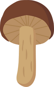 Matsutake mushroom