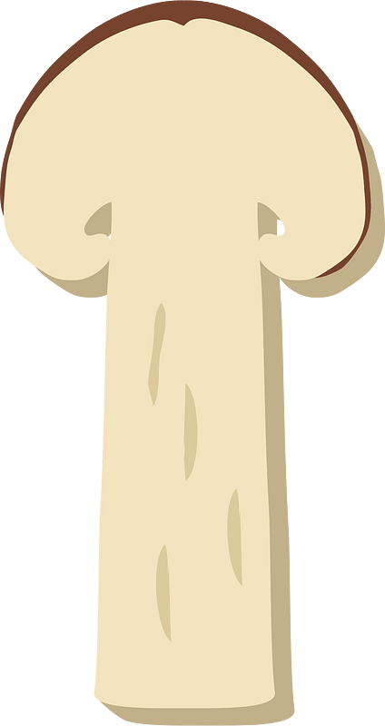 Matsutake mushroom
