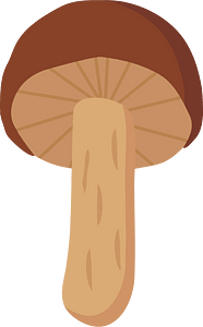 Matsutake mushroom