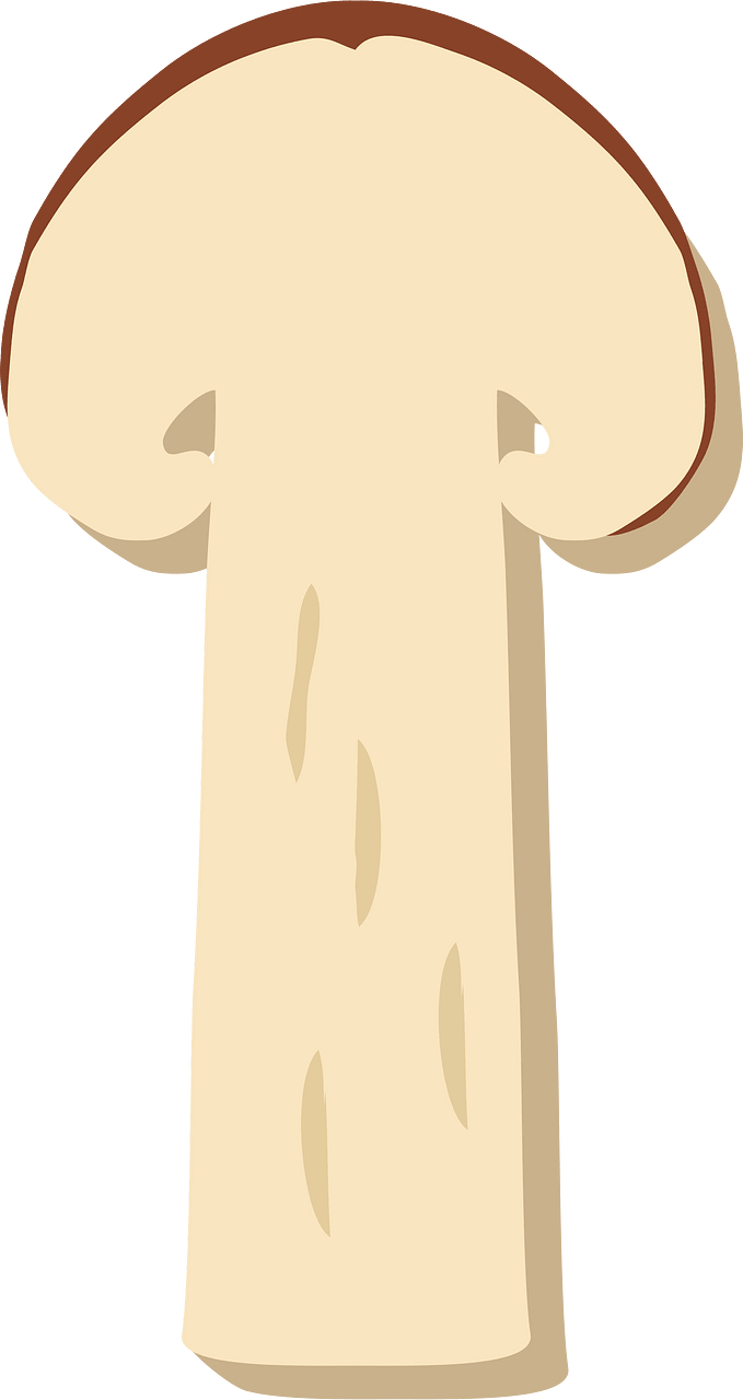 Matsutake mushroom