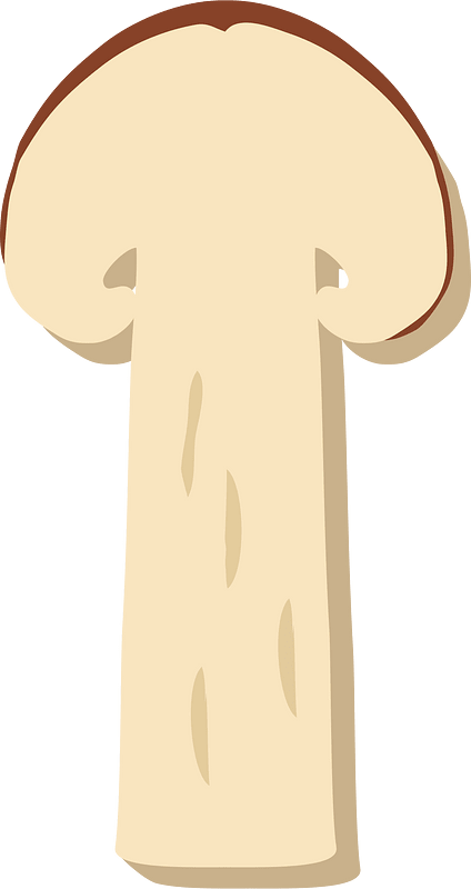 Matsutake mushroom