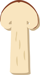 Matsutake mushroom