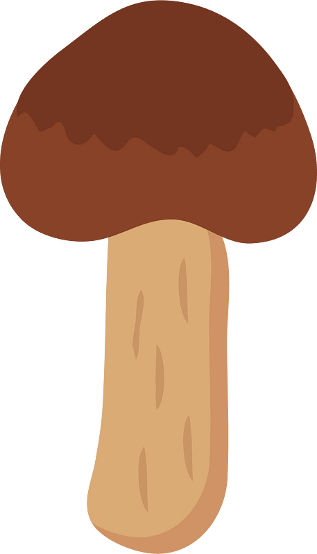Matsutake mushroom