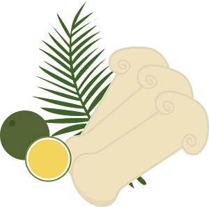 Matsutake mushroom