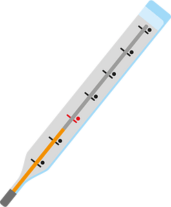 Medical thermometer