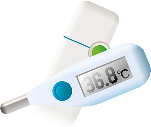 Medical thermometer