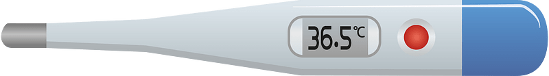Medical thermometer