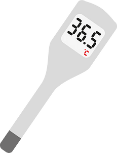 Medical thermometer