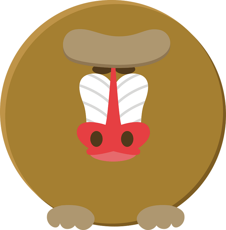 Moneky animal