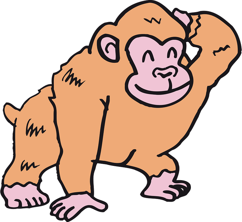 Monyet