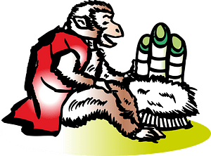 Monkey