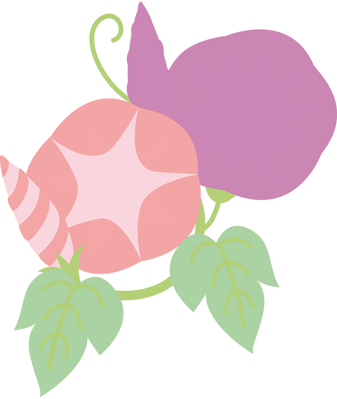 打碗花属