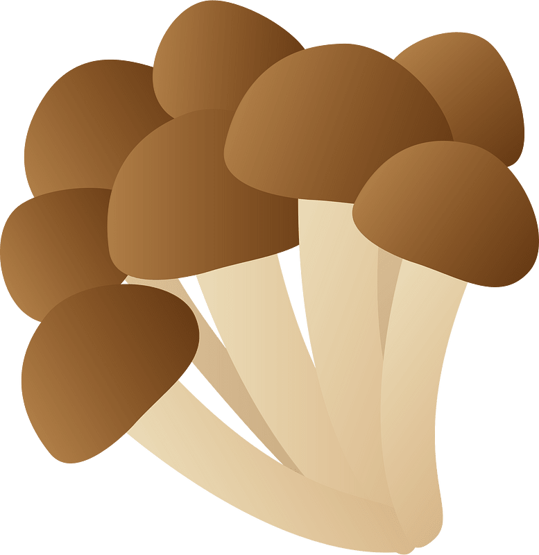 Mushroom food