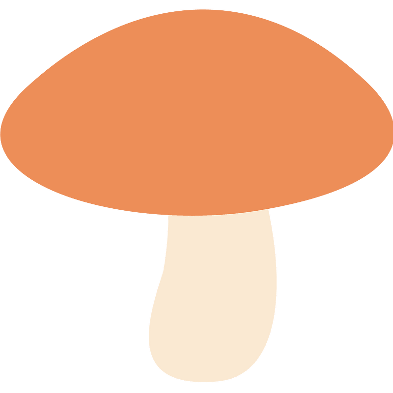蘑菇