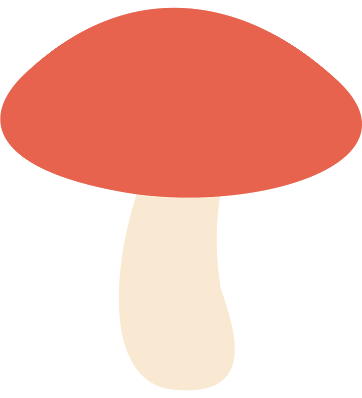 Mantar
