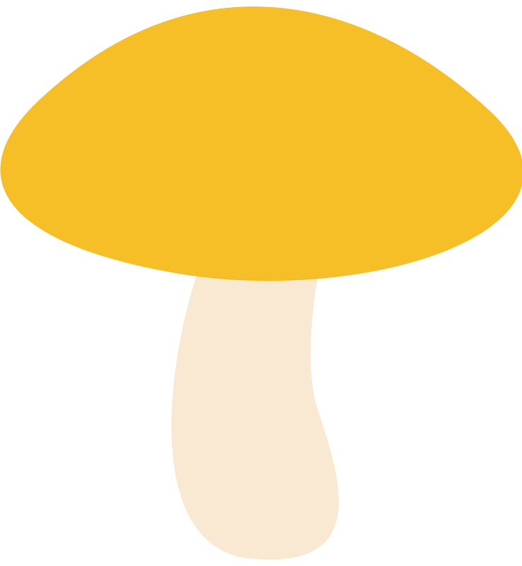 Svamp
