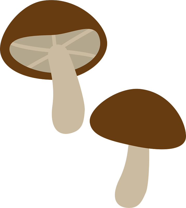 蘑菇