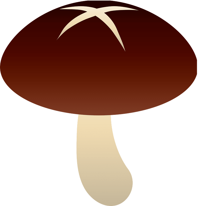 Jamur