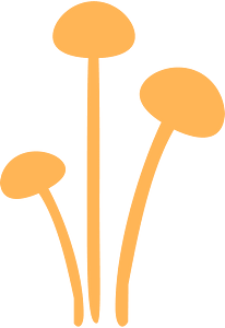 きのこ