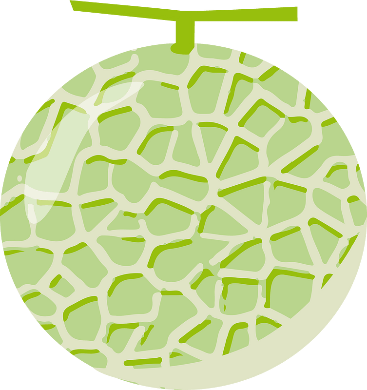 Muskmelon fruit