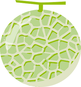 Muskmelon fruit