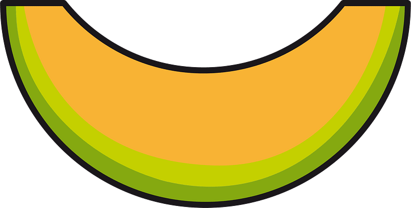 Muskmelon fruit