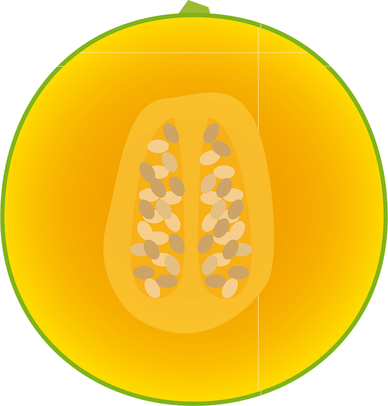 Muskmelon fruit