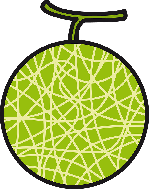 Muskmelon fruit