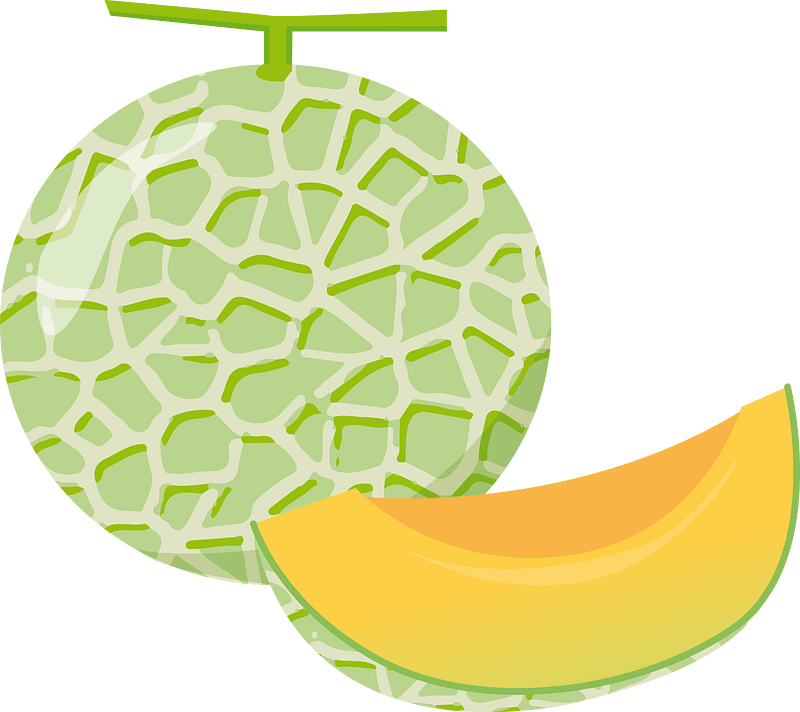 Muskmelon fruit