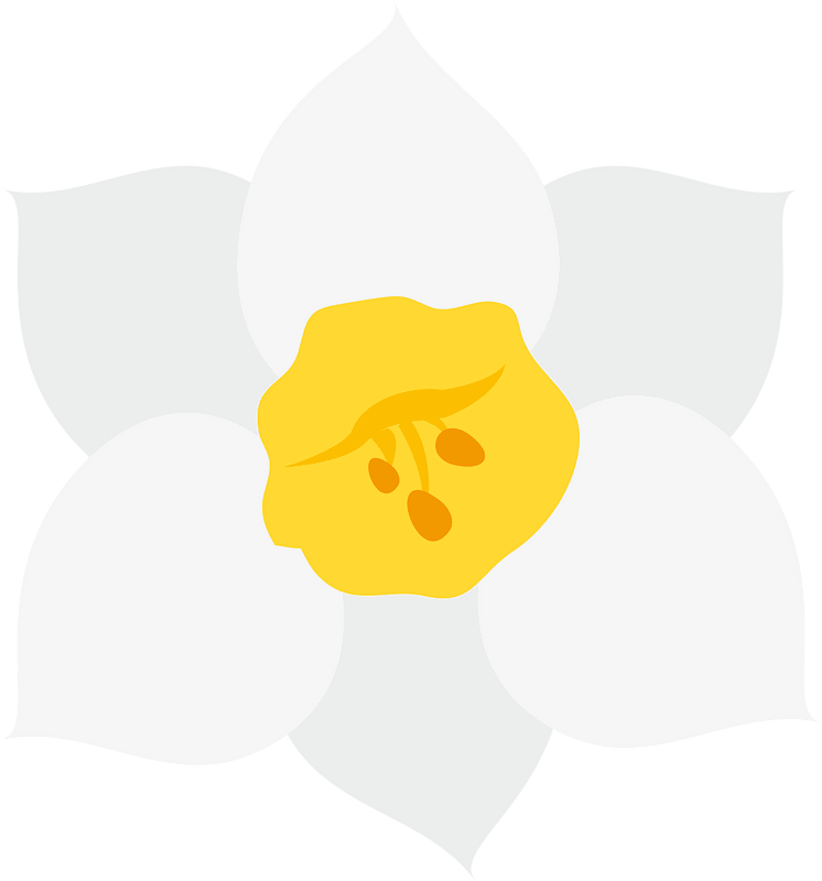 Narcissus flower